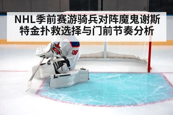 ice hockey goalie crease